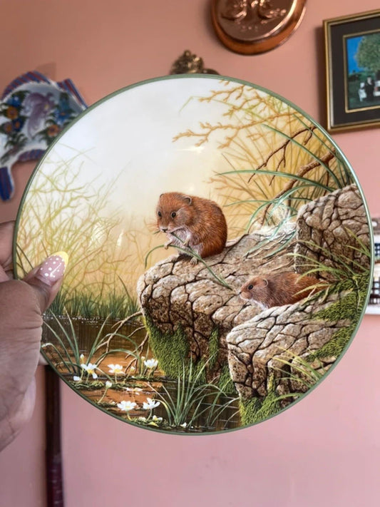 Vintage royal doulton voles plate cottagecore collector’s plate