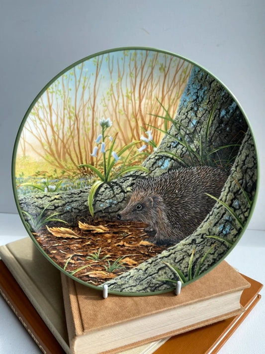 Whimsical vintage forest plate Royal Doulton hedgehog nature art cottage core