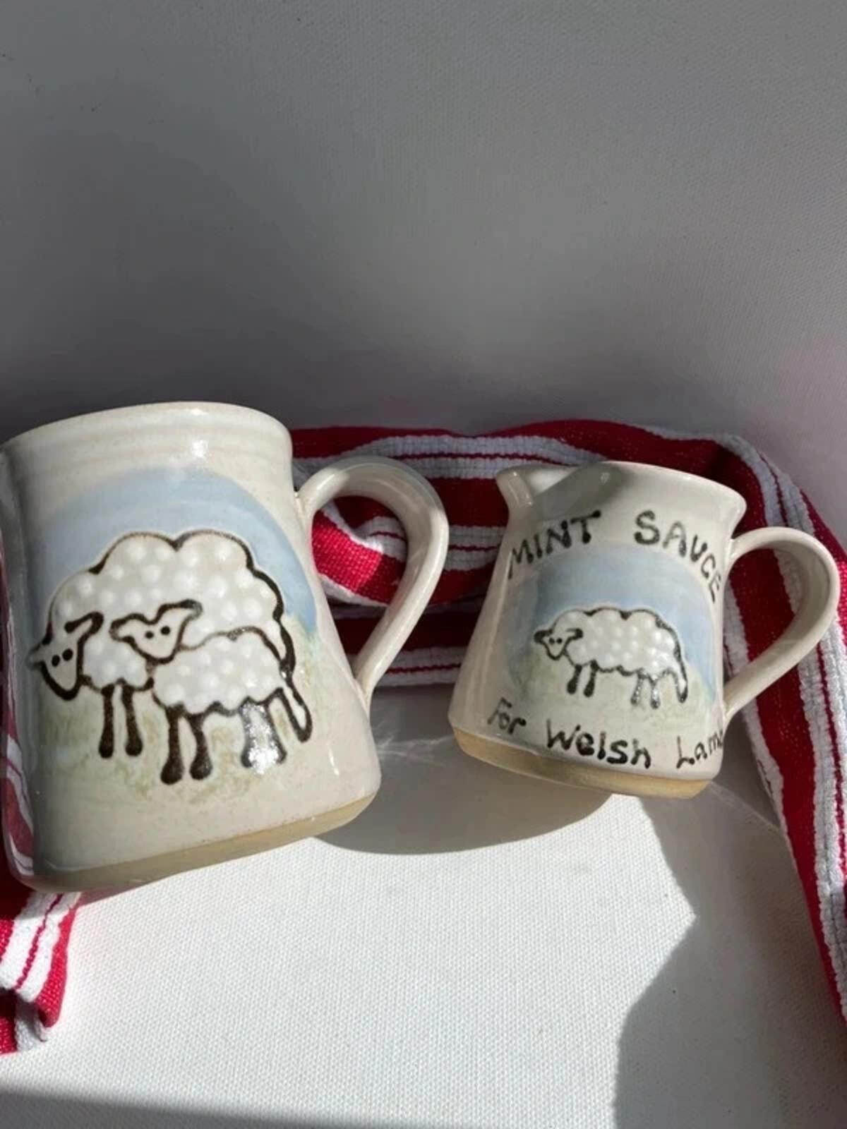 Glynderi Pottery Sennybridge Welsh Mint Sauce Jug and mug handmade in Wales