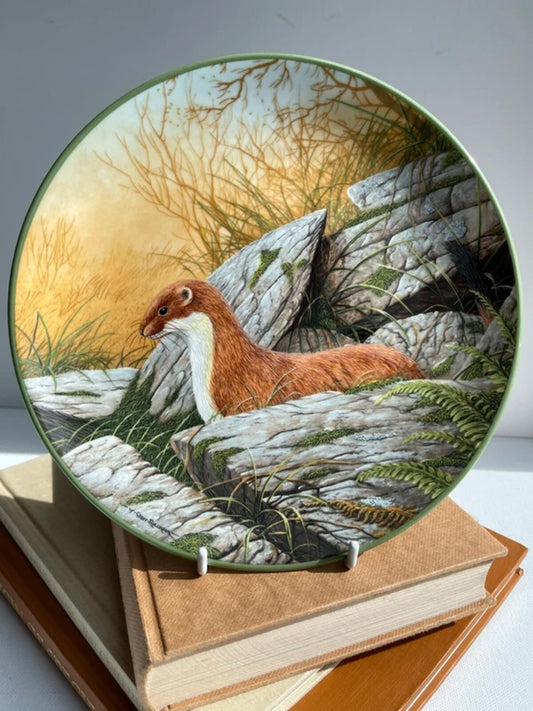 Whimsical vintage forest plate Royal Doulton of a stoat nature art cottage core