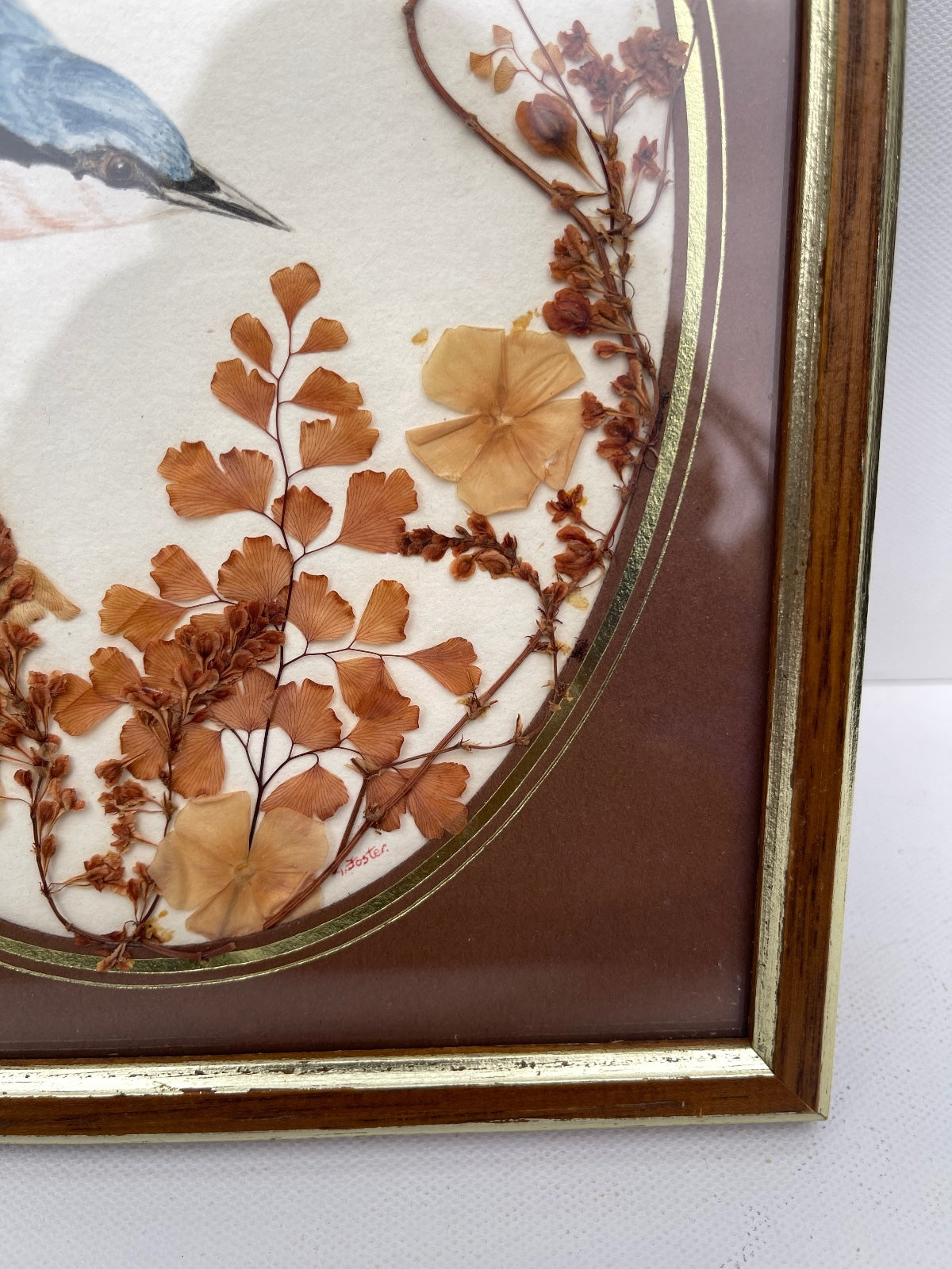 Vintage oval framed nuthatch bird dried foliage signed by artist vintage art