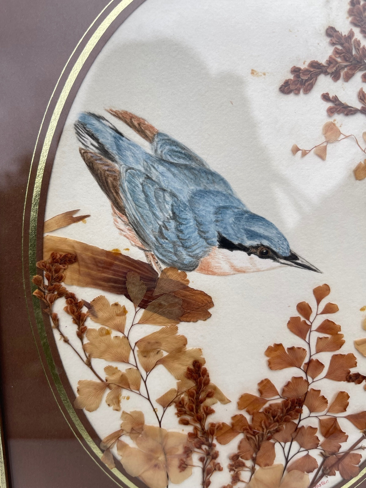 Vintage oval framed nuthatch bird dried foliage signed by artist vintage art