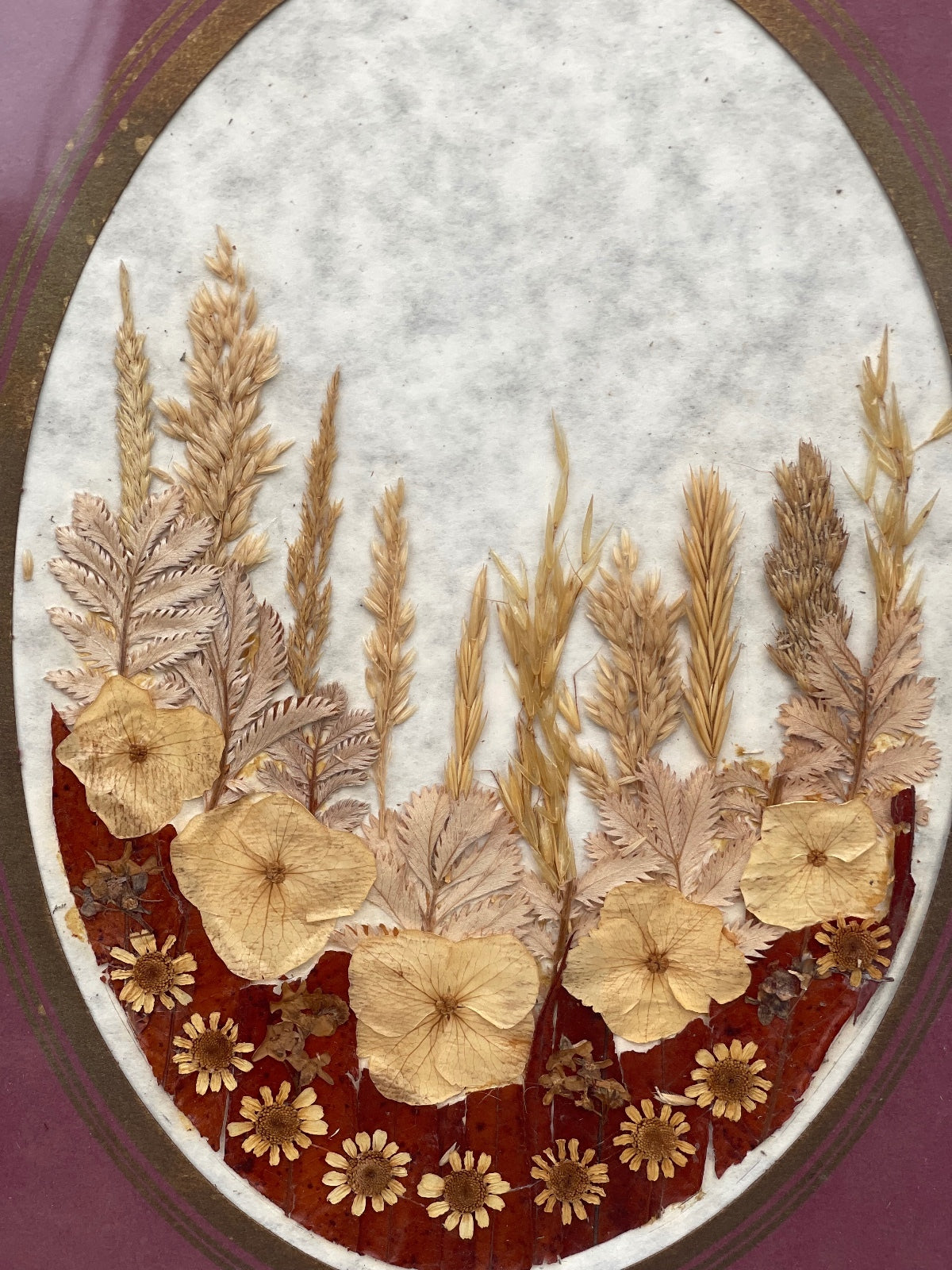 Vintage wooden framed pressed flower display in oval setting