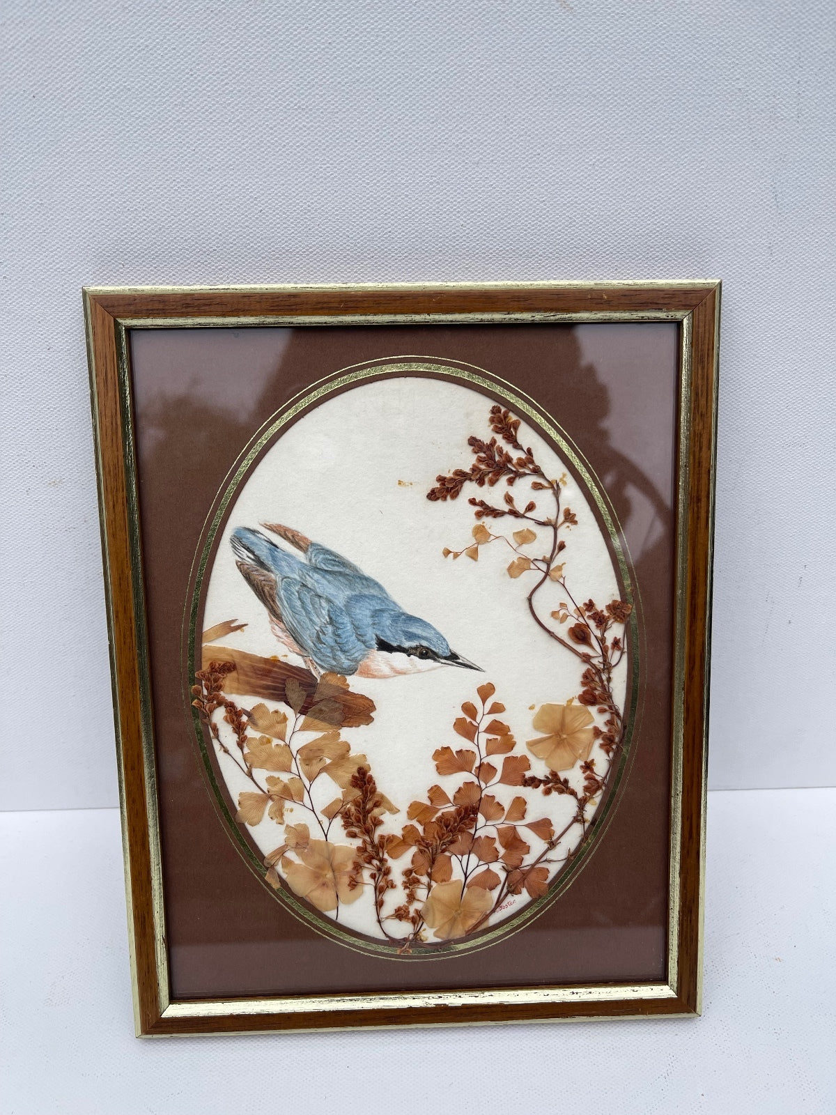 Vintage oval framed nuthatch bird artwork with real dried flowers, handcrafted botanical wall decor, cottagecore home styling, nature-inspired gallery wall art, rustic farmhouse decor and charming vintage display.